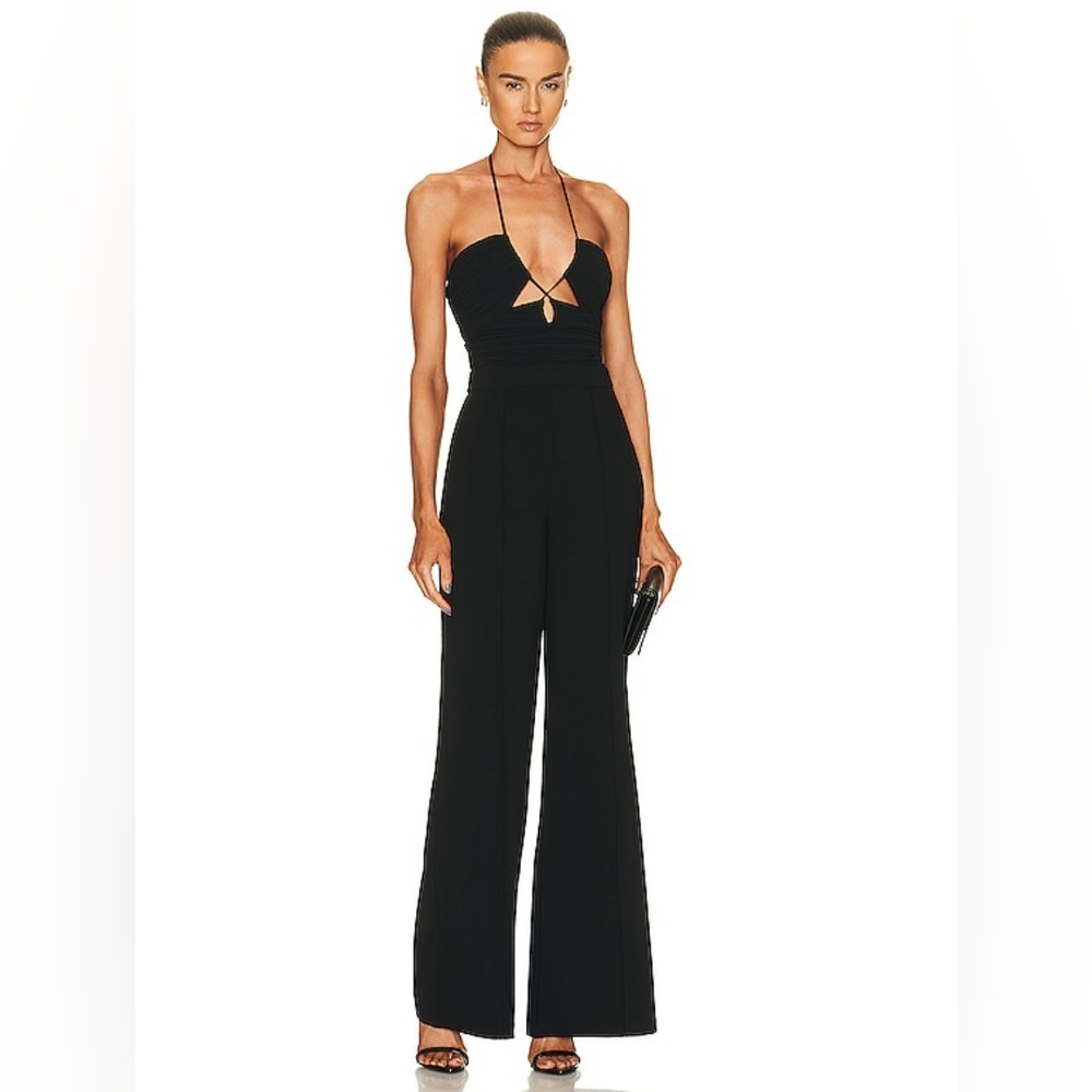 6. NWT JONATHAN SIMKHAI GALA PLISSE CUT OUT JUMPSUIT